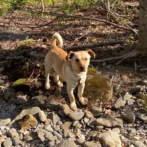 Meet your Posher, Maya